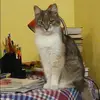 Отзыв от Алла Демьянова